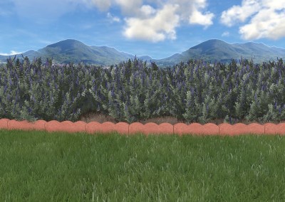 bordure3d_3